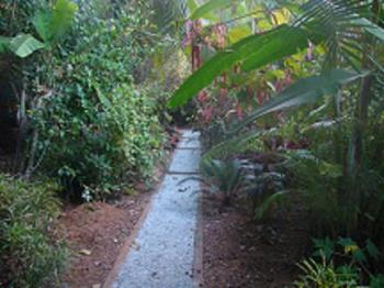 Garden paths - In order that weeds do not grow and walking is easy constructed paths are ideal