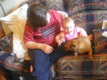Baby girl and Emma Grace - This is my niece with our dog. Emma Loves Baby and Baby girl is So gentle with Emma. I think it&#039;s because she knows Emma drops cheerios on purpose.