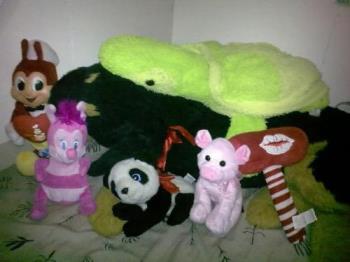 stuffed toys - these are just some of my toys here in our apartment. I still have more at home. =)