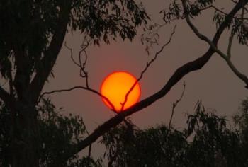 Red Sun - This is a Photo I took of the Sun when we had the distructive victorian fires in Feb 2009