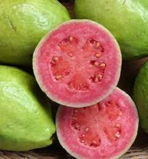 Guava from me - Fruits