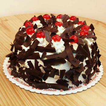 black forest cake - Special Cake for you