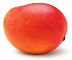 mangoes - mango