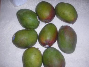 Juicy Mangoes - Green and half Ripe - Yummy. Love eating the green ones with pepper and salt