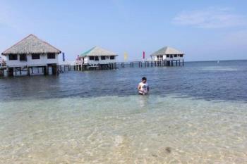 Beautiful beach - White Sand Paradise