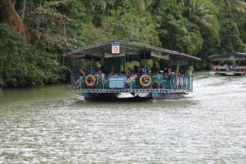 River Cruise - Laboc River, Bohol