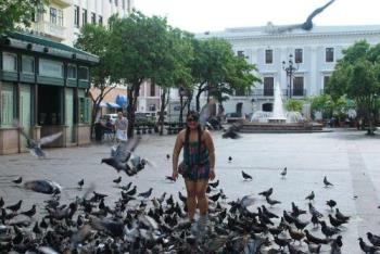 Pigeons - Friendly birds?