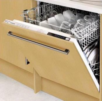 Dishwasher - Cant live without one
