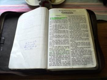 I believe the Bible, I believe Creation - God created men.