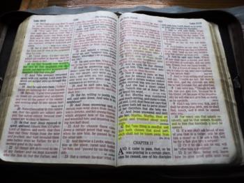 Never ever be too busy to read His Word. - The Bible
