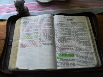 The Bible - The Book of John