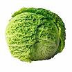 cabbage - green cabbage