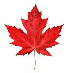 Canada - Canada is a place for Maple leaf.