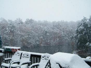 Here it is - I took this about one hour ago. It&#039;s deeper now. Our gorgeous trees are now all white. :(