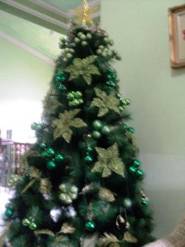 Christmas Tree - My Green Christmas Tree
