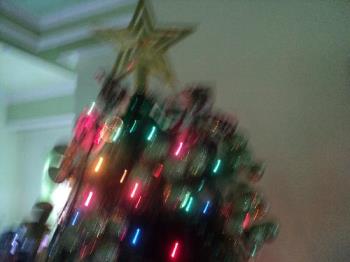 Star on top of the Christmas Tree - The Star led the Wise Men to the Manger.