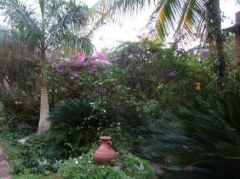 landscaped garden - This is a partial view of my garden