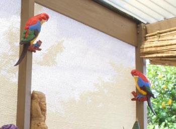 My painted concrete Parrots - My painted concrete parrots on my porch, hand painted.