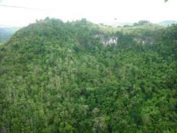 Zipline in Philippines - try this cool zip line ride in the mountain resort in the philippines