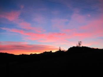 Sunset Over Vineyard in March - I took this picture at sundown over my back fence, catching the silhouette of the tasting room and trees at the top of the hill.