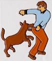 Dog bites - Dog biting
