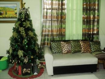 Christmas Tree - It looks new every year! Christmas Tree - It looks new every year!