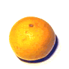 grape - Grape Fruit grape - Grape Fruit