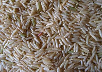 brown rice - Nutritious & healthy brown rice brown rice - Nutritious & healthy brown rice