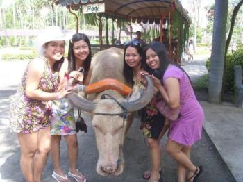 happy days - me and my friends @ villa escudero with the white carabao happy days - me and my friends @ villa escudero with the white carabao