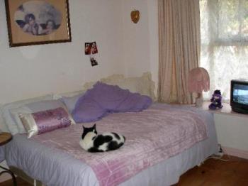 My Stumpy - my cat Stumpy, in my bedroom , Melbourne australia