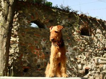 Binne - posing for a photo Binne - posing for a photo