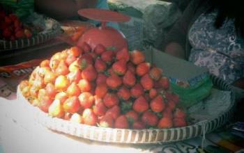 Strawberries - Rich Source of Vitamin C