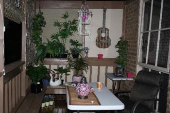 fake plants - fake plants on my new porch, melbourne Australia.