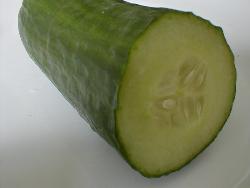 Cucumber - Cucumber