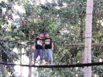 Surrounded by trees - Trees are awesome.