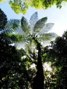 Save this beautiful earth - The earth is spoiling down Save this beautiful earth - The earth is spoiling down