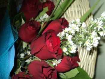Sweet and Red Roses - Love gift