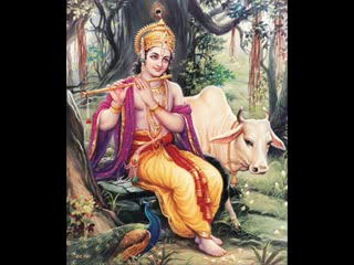 Lord Krishna WIth Cow  - Lord Krishna Playing Flute With Cow 