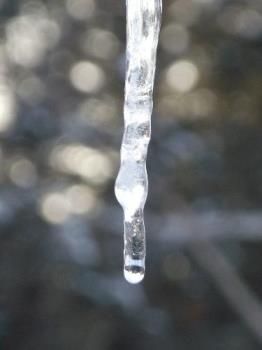 icicle pic - Love taking pictures