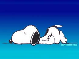 very tired dog - i need to get more of this sleep very tired dog - i need to get more of this sleep