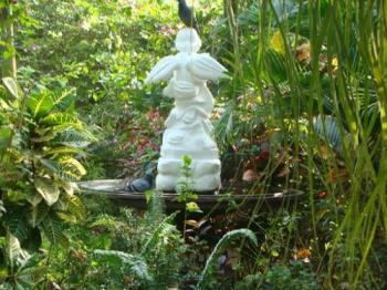 bird bath,  - Bird bath in our garden where birds have fun