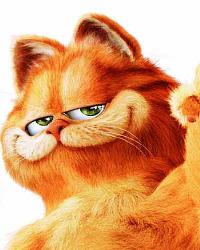 CAT FOR YOU - GARFIELD