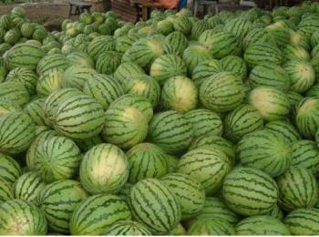 Watermelon - One of the world's most nutritious.
