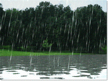 Rain - A steady rain falling
