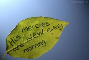 So Great Is His Mercy Toward Us - It is new every morning.