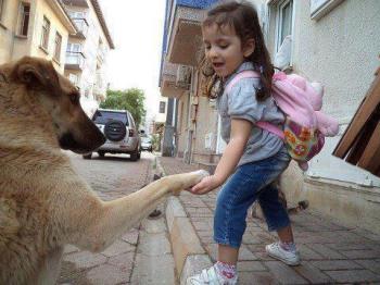 Dog lover - Her dog is her friend.