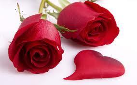 Roses - Roses are red and violets are blue. Sugar is sweet my love but not as sweet as you. Roses - Roses are red and violets are blue. Sugar is sweet my love but not as sweet as you.