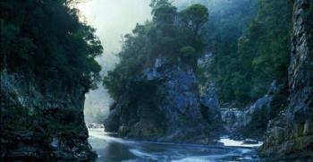 The Franklin River - Birthplace of the Australian Greens