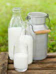 leche - milk is a very nutritious drink available to mankind.
This liquid as secreted by cows, goats, or certain other mammary animals and used by humans for food or as a source for butter, cheeses, yogurt, etc. 