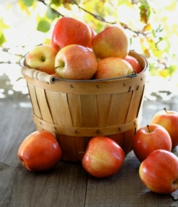 Apple asHealth Food - Apple as Health Food